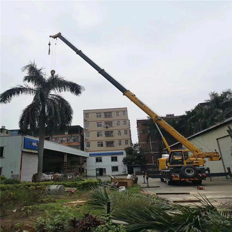 神湾镇汽车吊出租多少钱？全面解析与市场行情